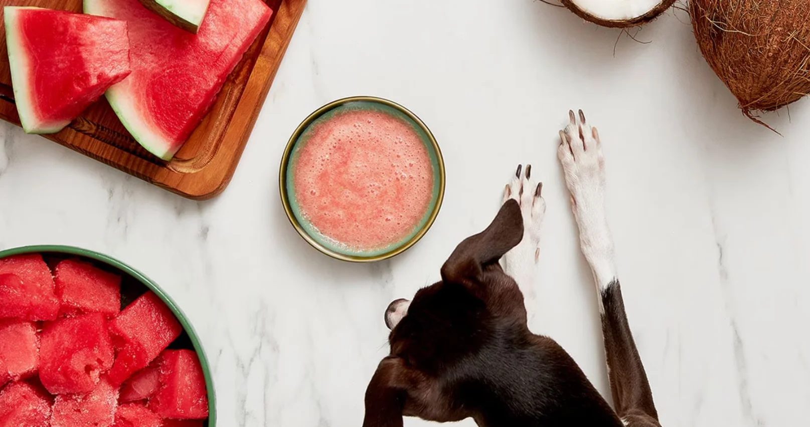 Method for serving the watermelon to your dog