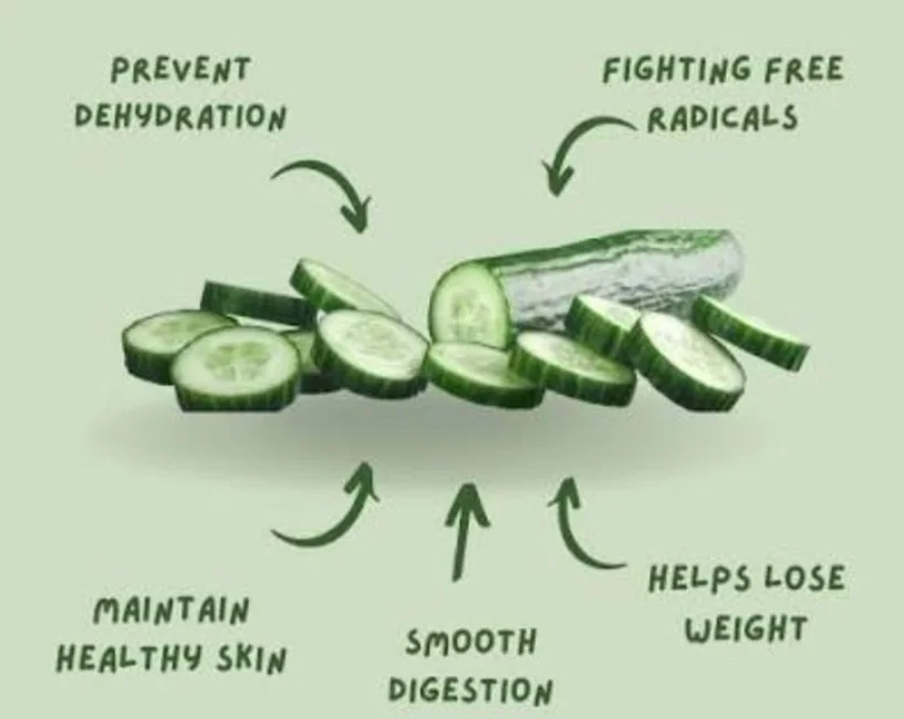 Nutritional Value of Cucumbers